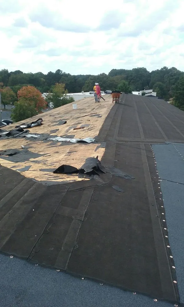 Expert shingle roofing service in Williamson, GA by Tim's Roofing
