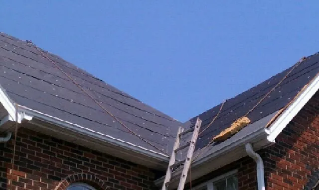 Slide of Tip Top Restoration