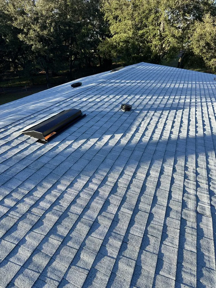 Slide of Tippy Top Roof Repair