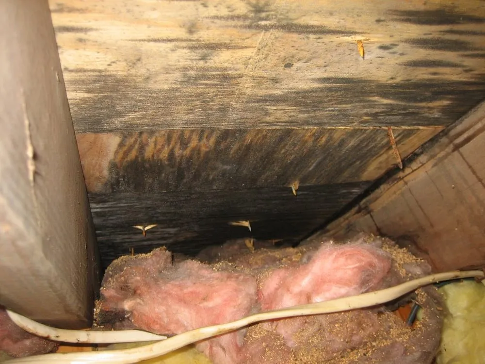 Slide of Titan Building & Roofing