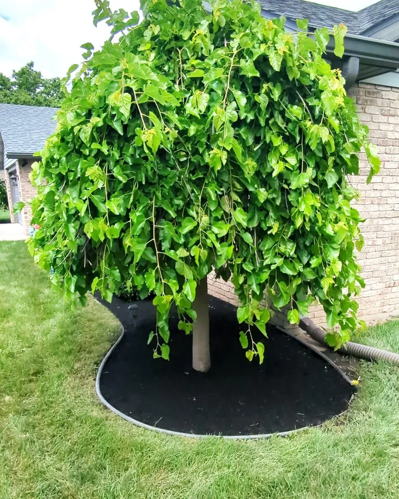 Slide of Titan Lawn Services