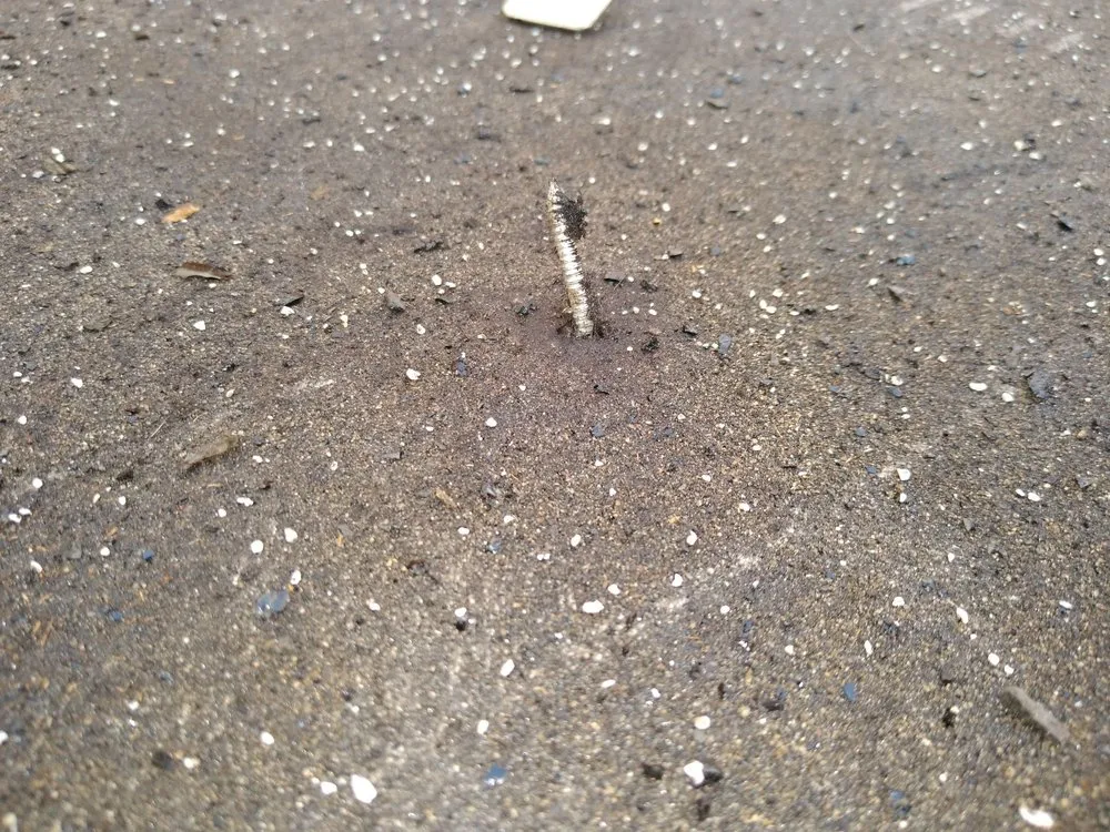 Slide of Titan Roofing Services