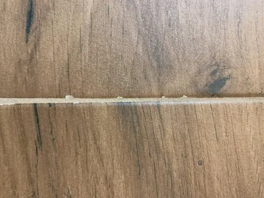 Titanium Construction Services Logo