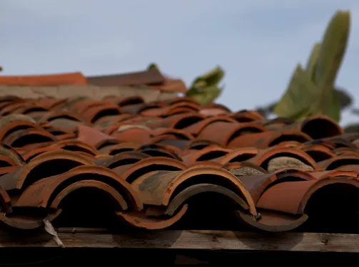 Slide of TJ Roth Roofing & Construction