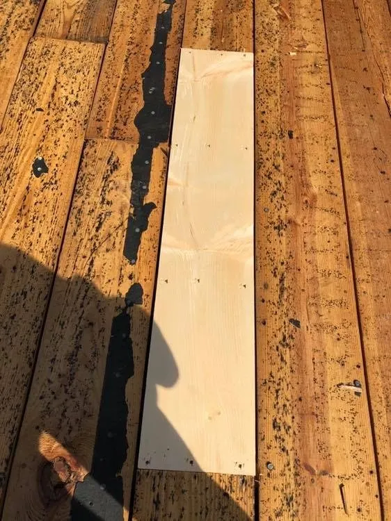 Slide of TJ’s Shingles