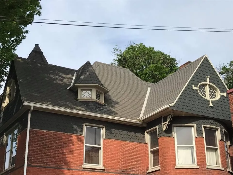 Slide of TJ’s Shingles