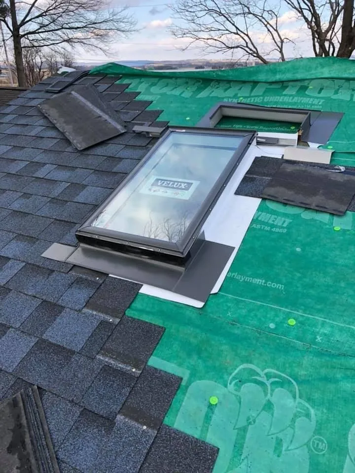 Slide of TJ’s Shingles