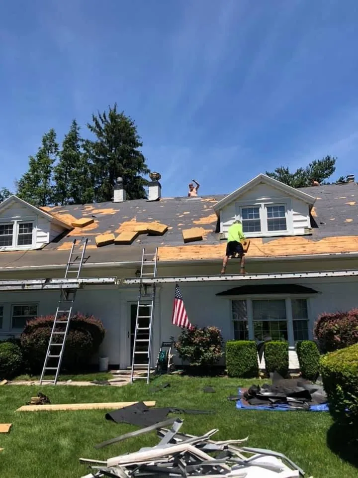 Slide of TJ’s Shingles