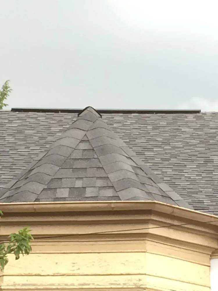 Slide of TJ’s Shingles