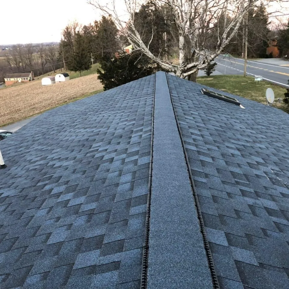 Slide of TJ’s Shingles