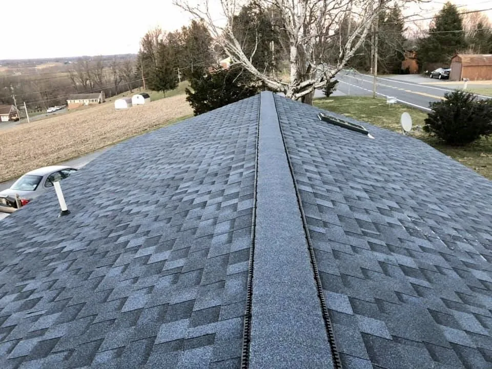 Slide of TJ’s Shingles