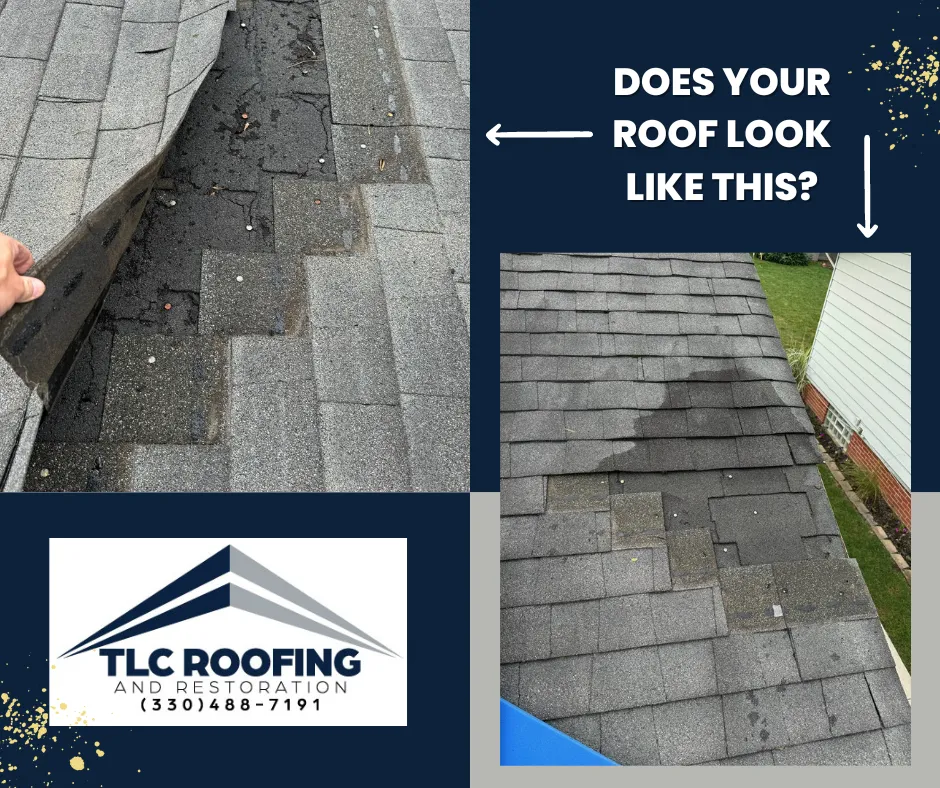 Slide of TLC Roofing