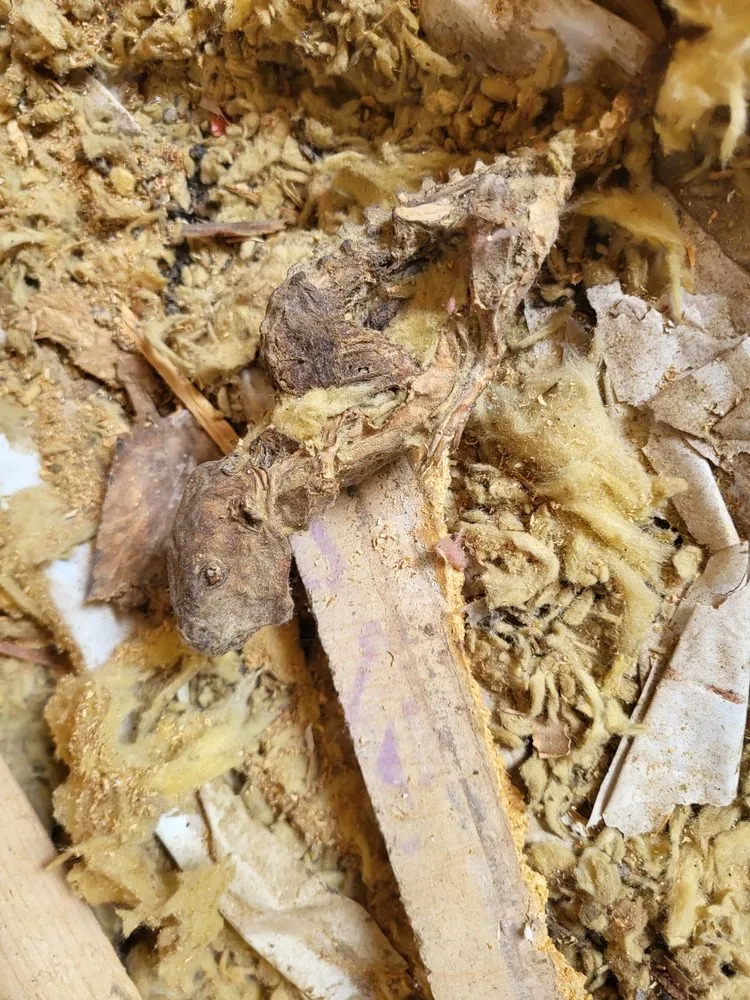 Slide of T&M Handyman