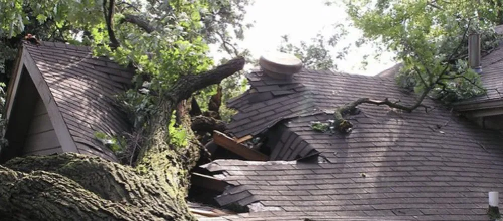 Slide of TM Roofing & Construction Group