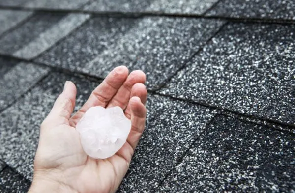 TM Roofing & Construction Group