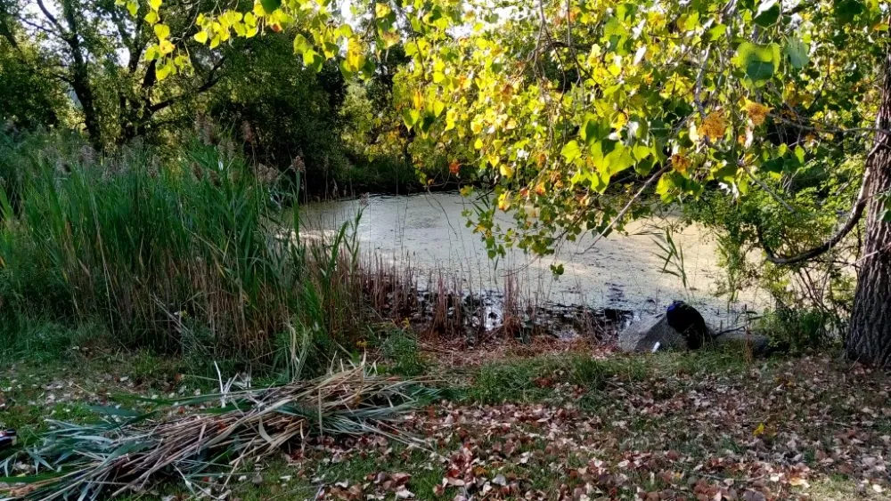 Slide of TnT Roofing & Construction