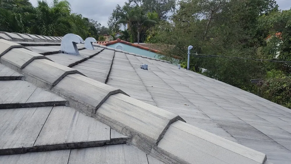 Slide of TNT Roofing