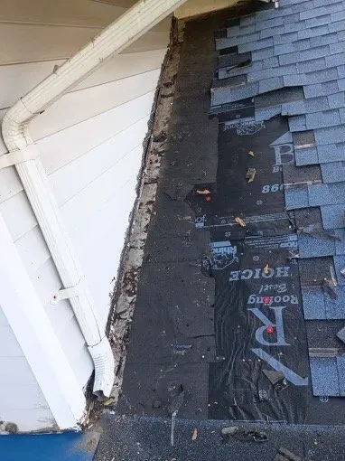 Slide of To the Rescue Exteriors