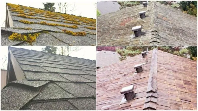 Slide of Tobias Exterior Care