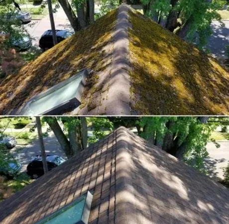 Slide of Tobias Exterior Care