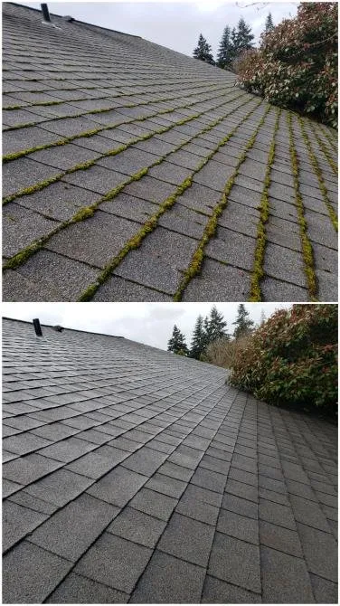 Slide of Tobias Exterior Care