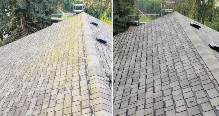 Slide of Tobias Exterior Care