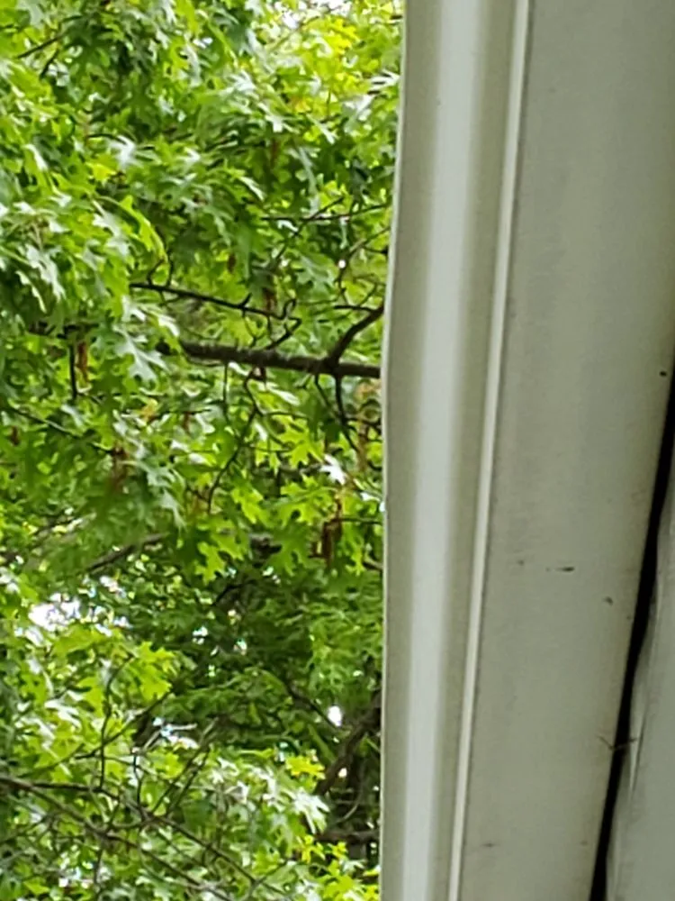 Slide of Toledo Contracting