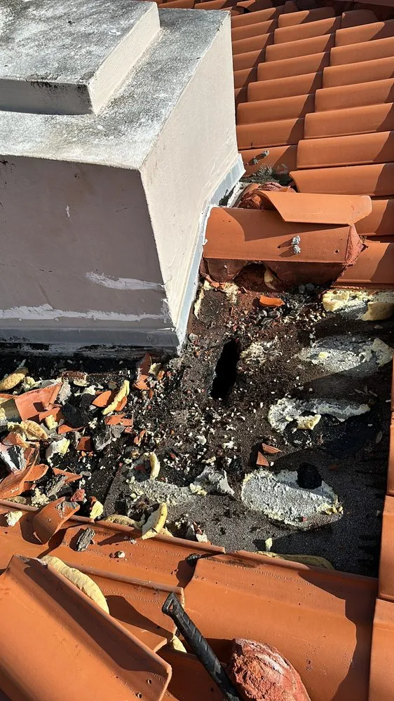 Slide of Tomas Roofer