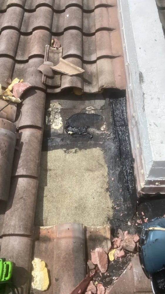 Slide of Tomas Roofer