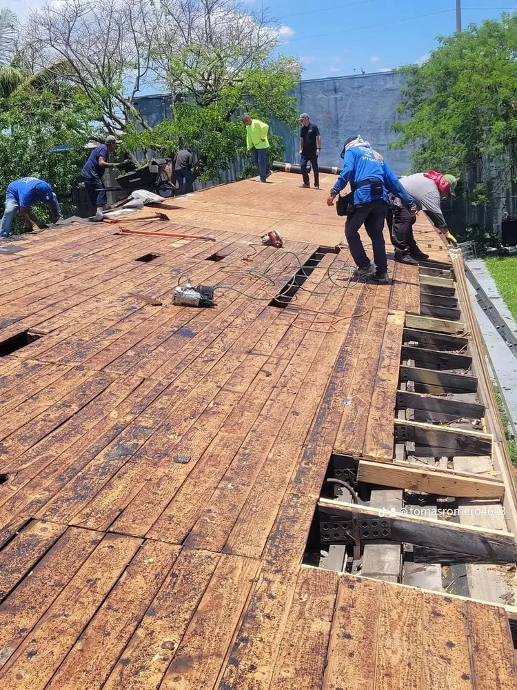 Slide of Tomas Roofer