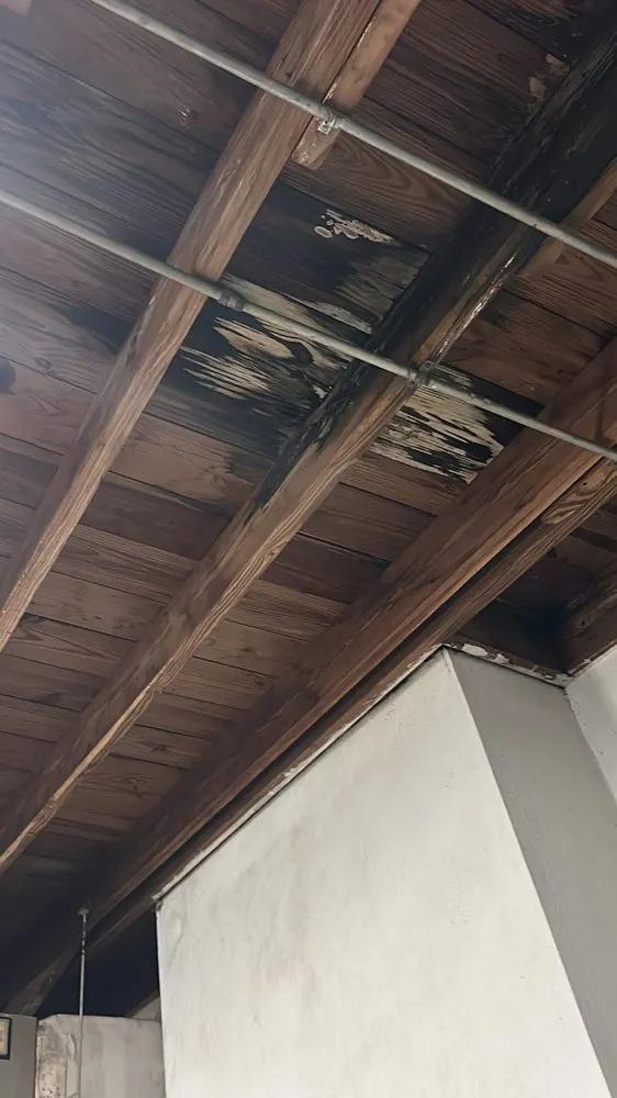 Slide of Tomas Roofer