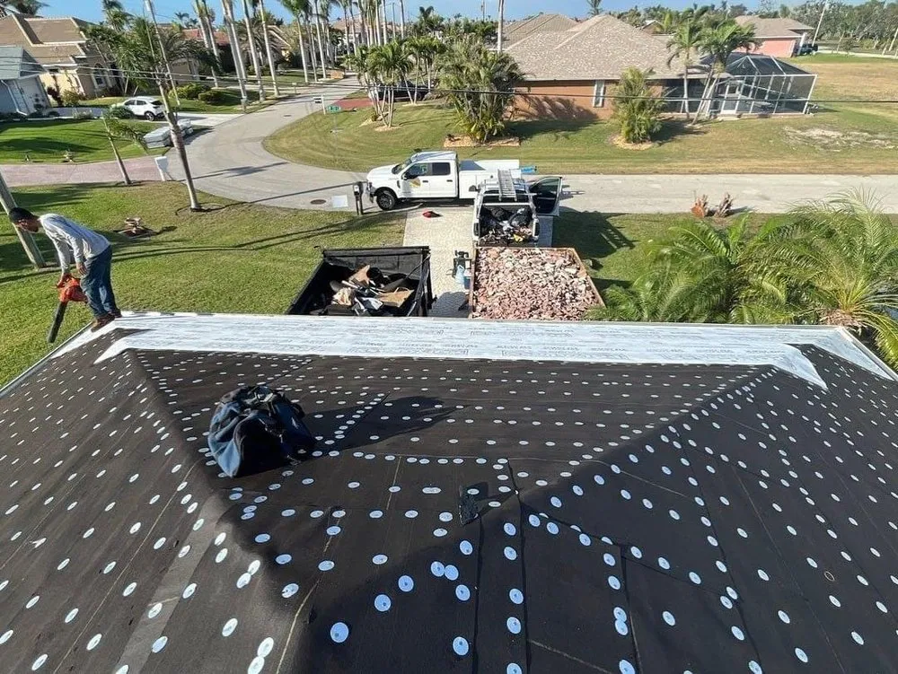 Slide of Tomas Roofer