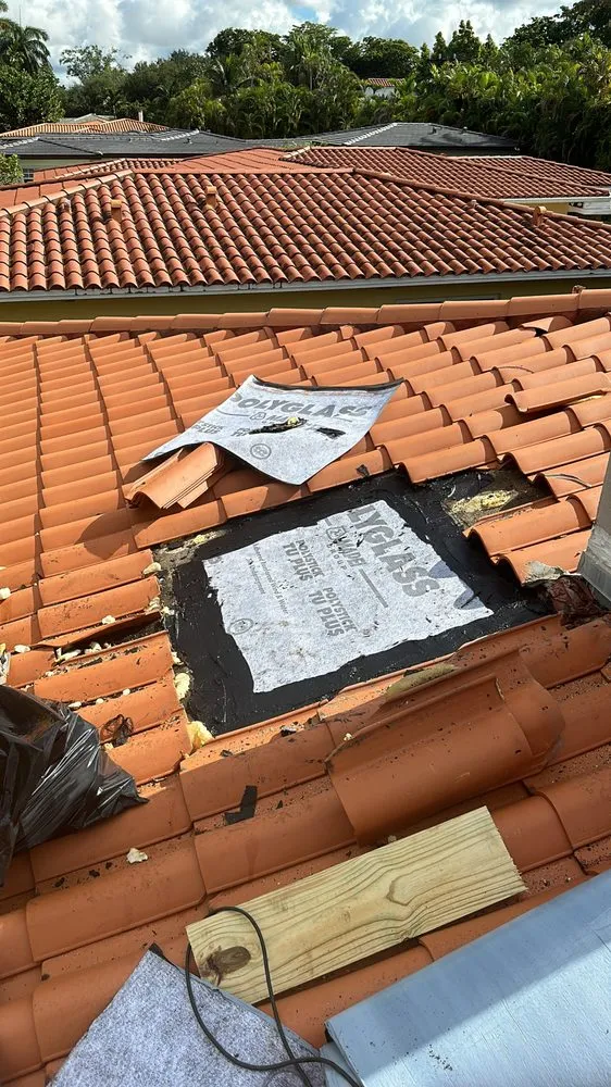 Slide of Tomas Roofer