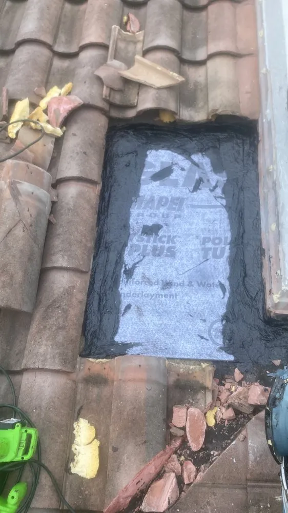 Slide of Tomas Roofer