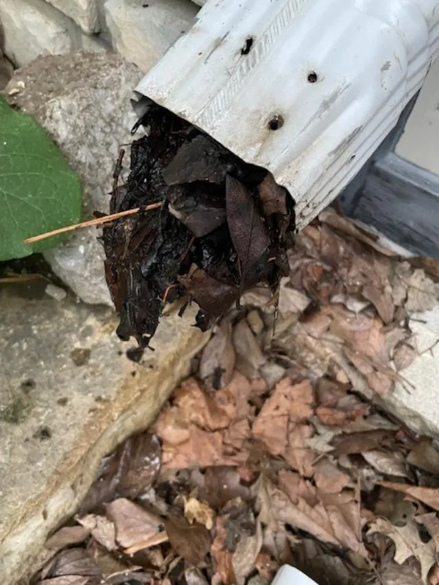 Slide of Tomlinson-Cannon