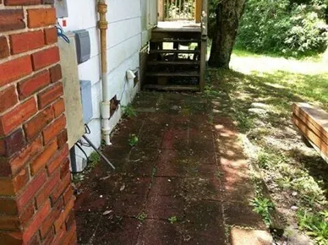 Slide of Tom's Professional Painting, Roofing & Waterproofing Services