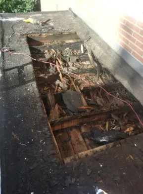 Slide of Tony Balsamo And Son