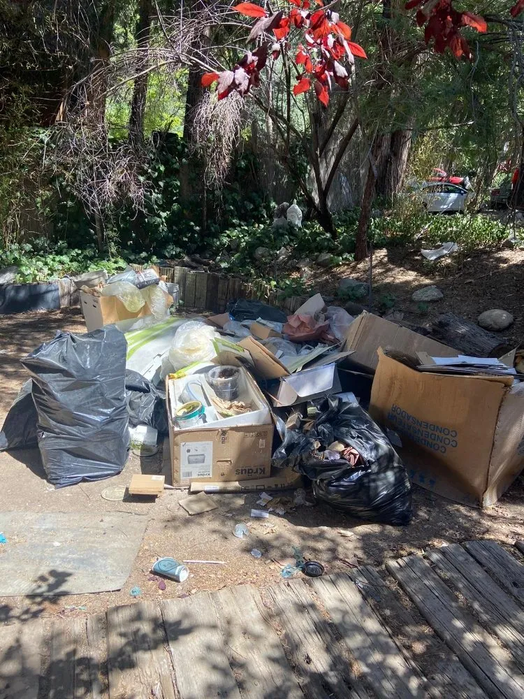 Slide of Tony Clean Ups