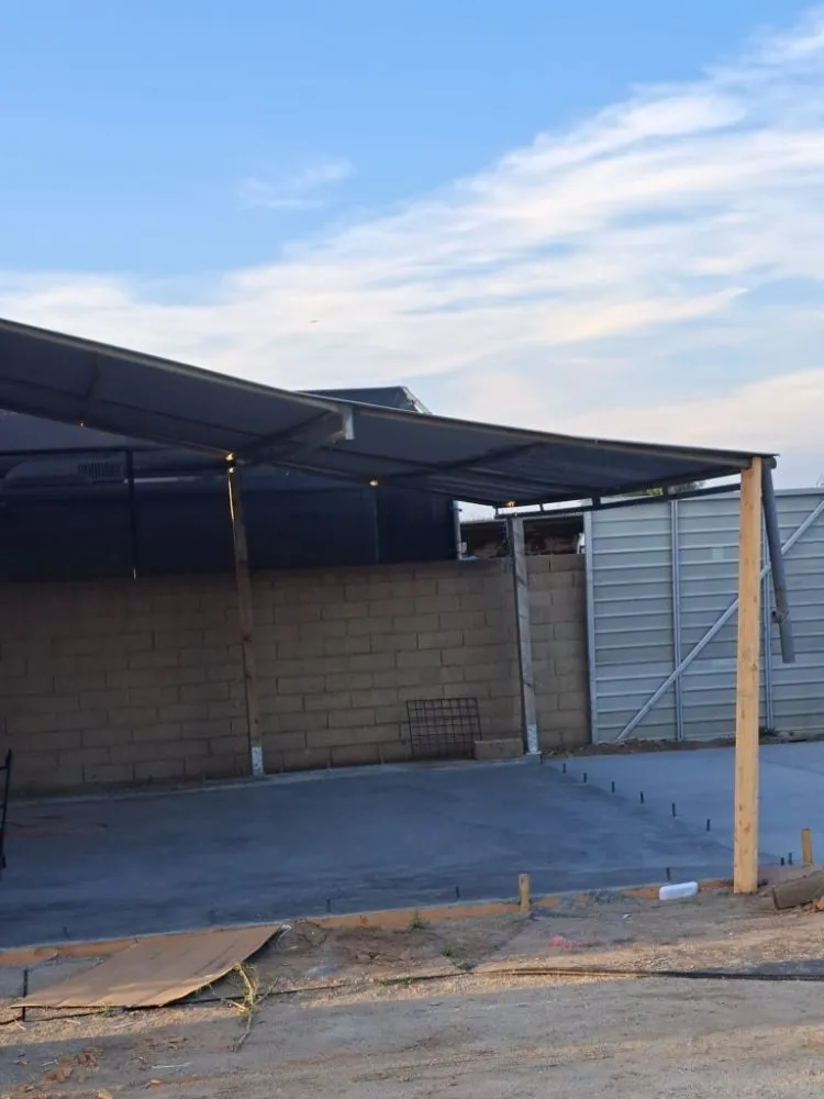 Slide of Tony Clean Ups