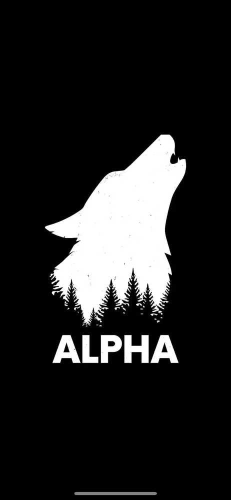 Slide of Top Alpha Roofing