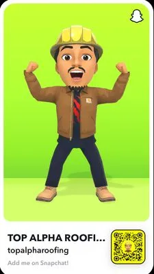 Top Alpha Roofing
