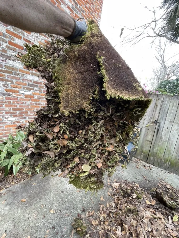 Slide of Top Choice Pressure Washing