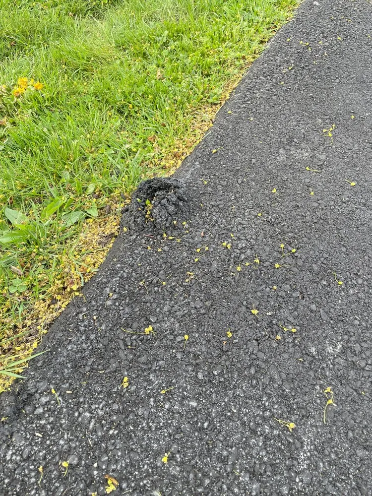 Slide of Top Class Home Improvements