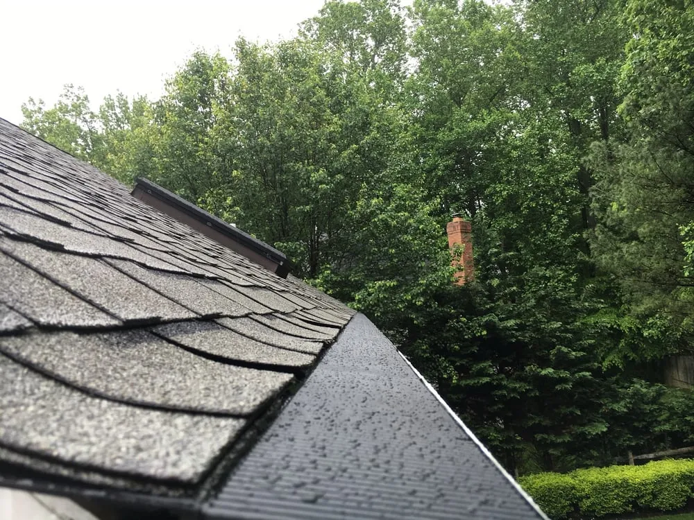 Slide of Top Dog Home Pro