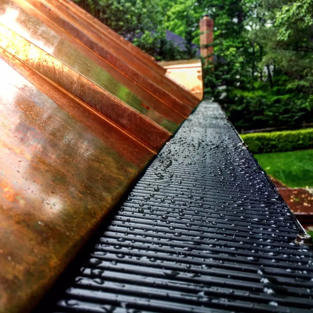 Slide of Top Dog Home Pro