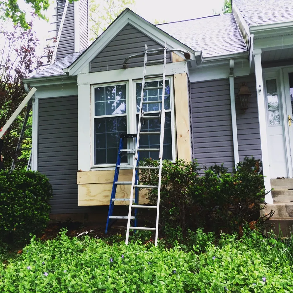 Slide of Top Dog Home Pro