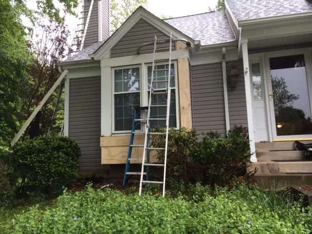 Slide of Top Dog Home Pro