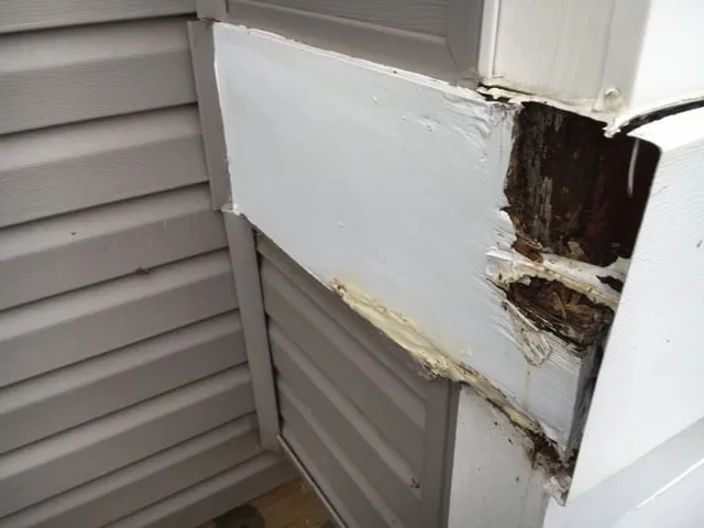 Slide of Top Dog Home Pro