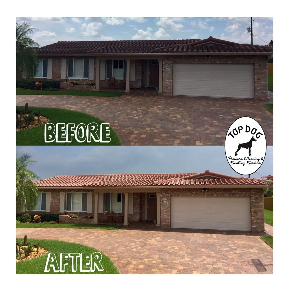 Slide of Top Dog Pressure Cleaning & Sealing Service