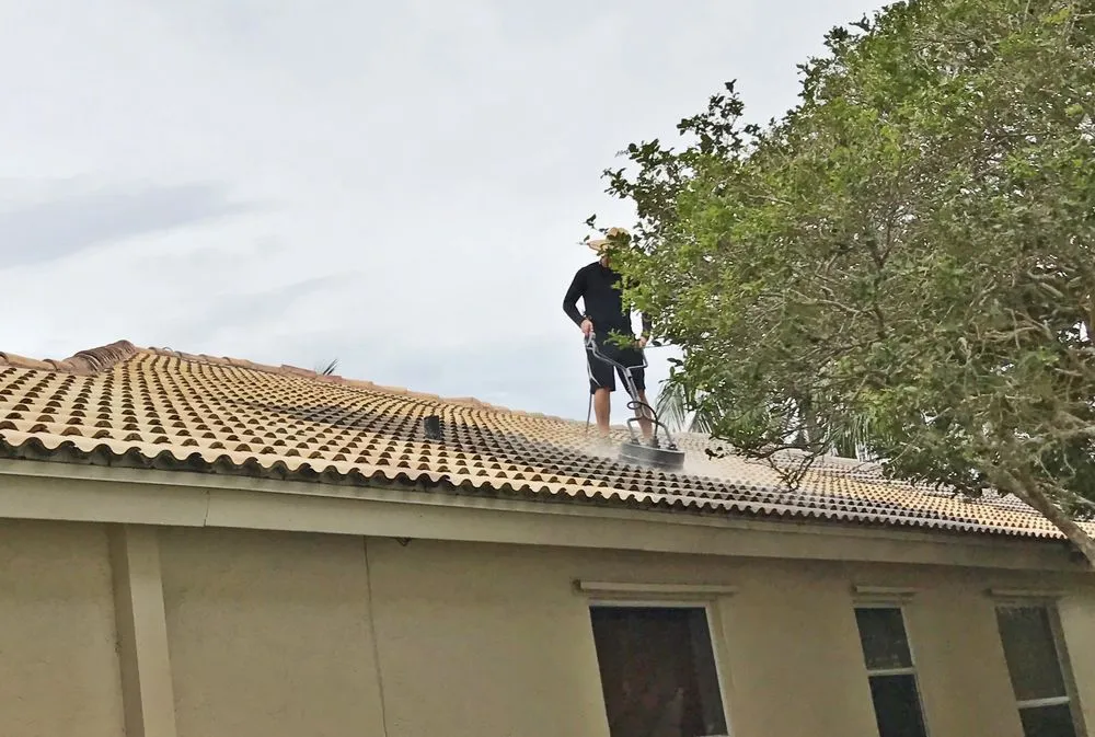 Slide of Top Dog Pressure Cleaning & Sealing Service